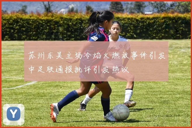 苏州东吴主场冷焰火燃放事件引发中足联通报批评引发热议