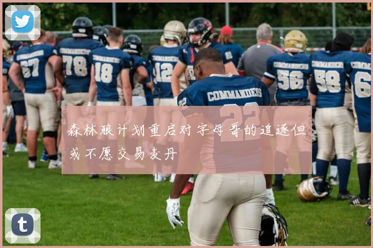 森林狼计划重启对字母哥的追逐但或不愿交易麦丹